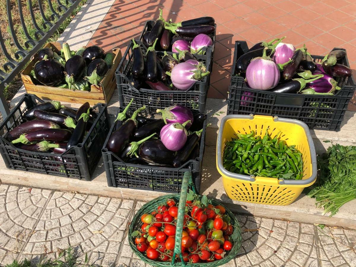 לינה וארוחת בוקר קסטלמרה די סטביה Il Giardino Di Nonno Agostino מראה חיצוני תמונה