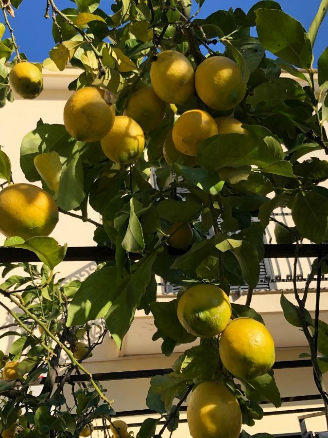 לינה וארוחת בוקר קסטלמרה די סטביה Il Giardino Di Nonno Agostino מראה חיצוני תמונה